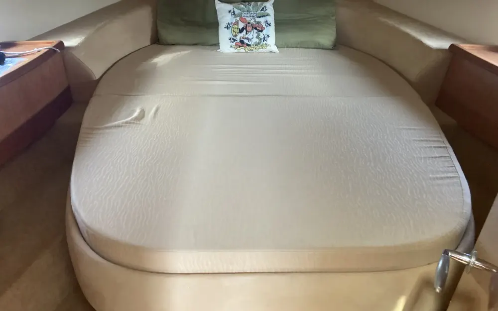 slider 32 Sealine  S 38