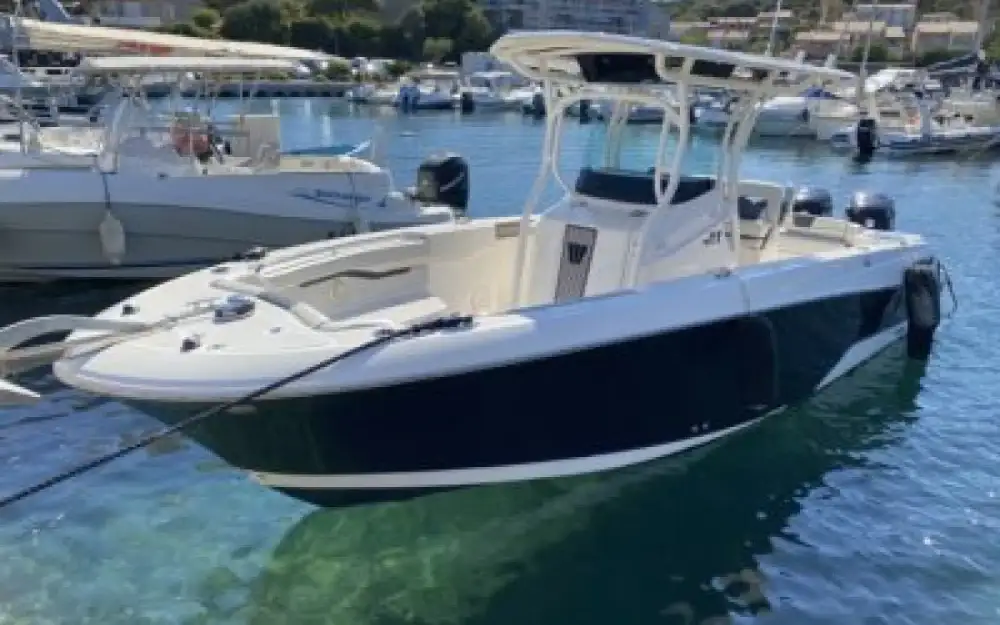slider 0 Wellcraft Fisherman 262