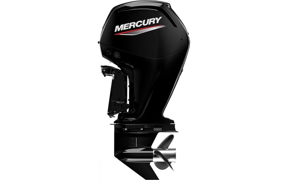 slider 0 Mercury F100ELPT 