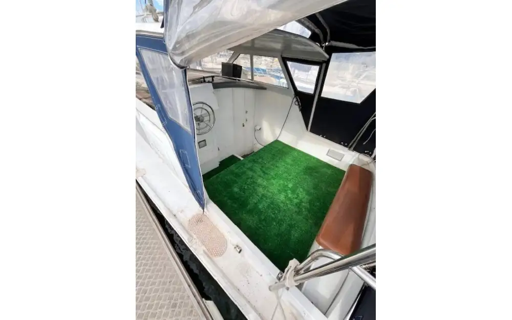 slider 10 Freeman Marine Freeman 24 Cruiser