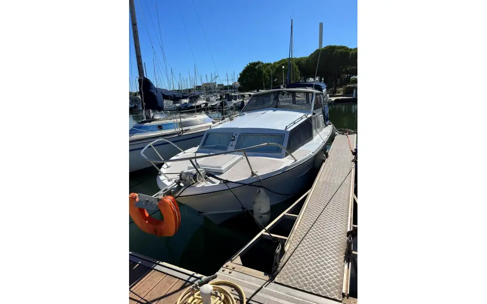 slider 8 Freeman Marine Freeman 24 Cruiser