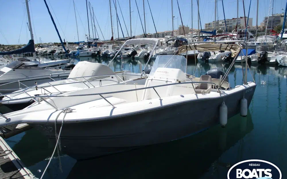 slider 0 White Shark 226