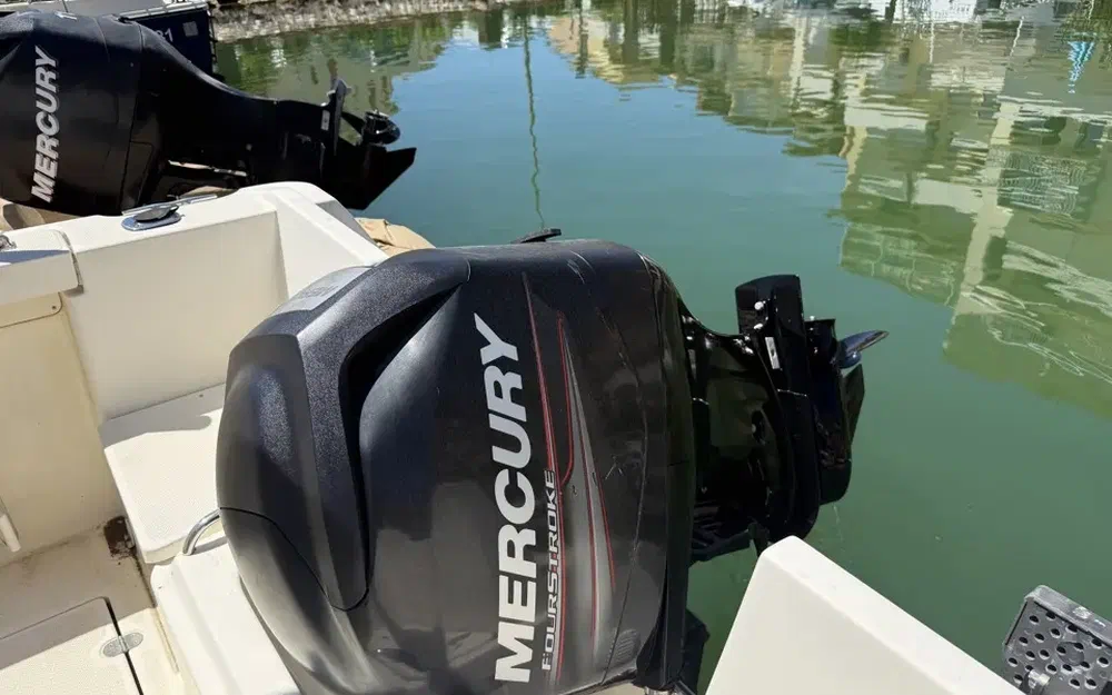 slider 14 Quicksilver 555 Open
