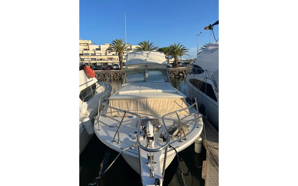 slider 2 Chris Craft 31 Commander