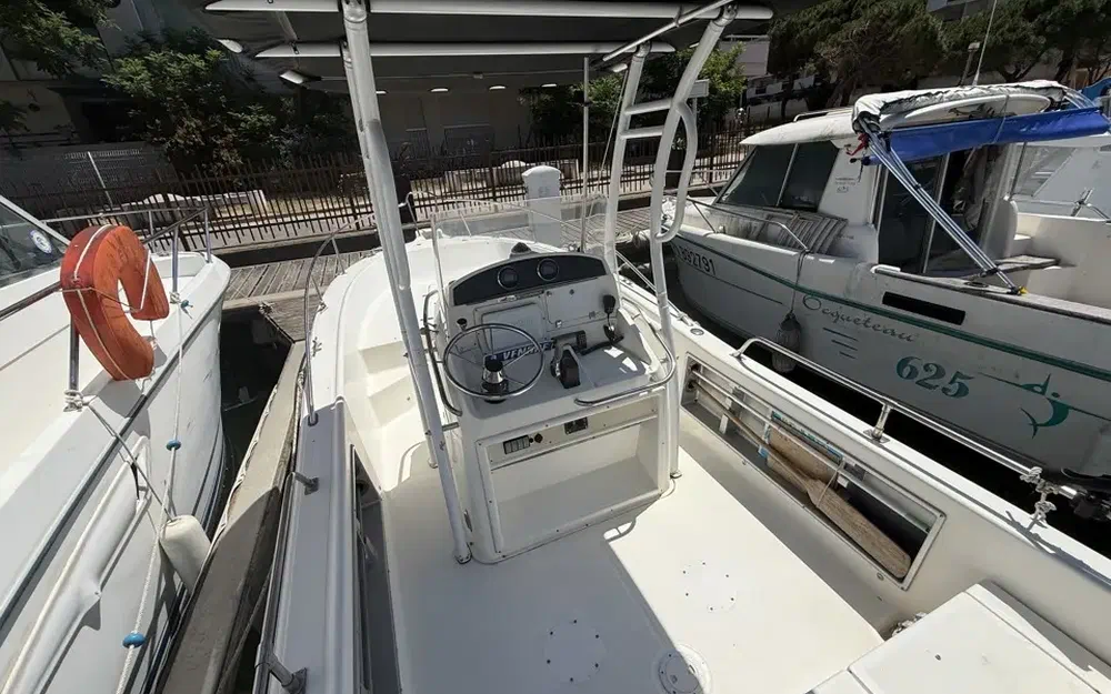 slider 12 Kelt White Shark 225