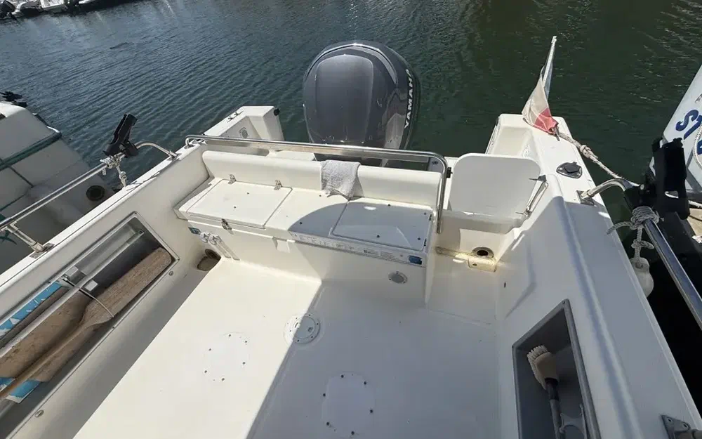 slider 15 Kelt White Shark 225