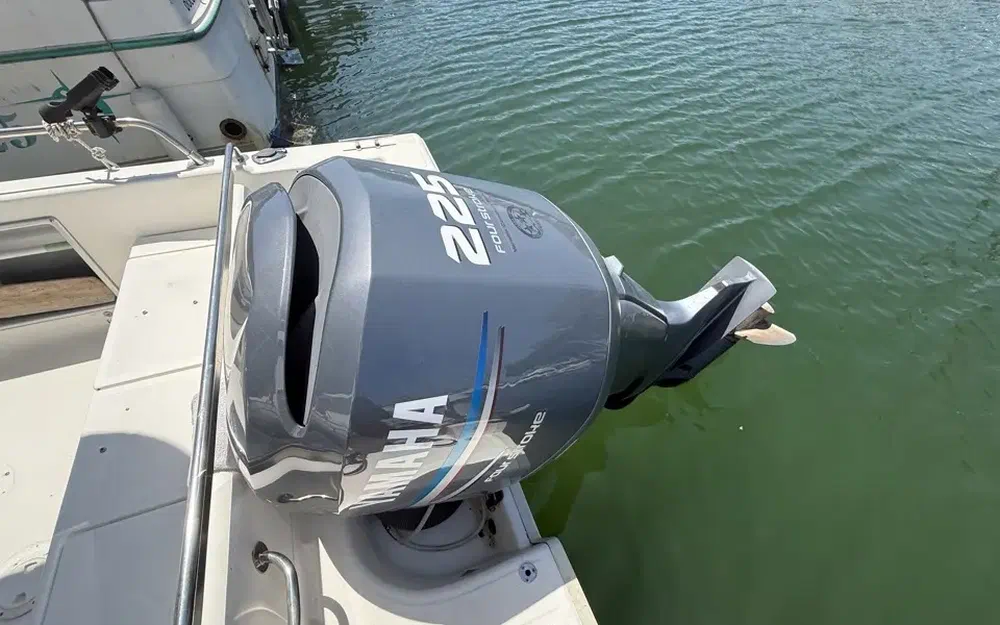 slider 20 Kelt White Shark 225