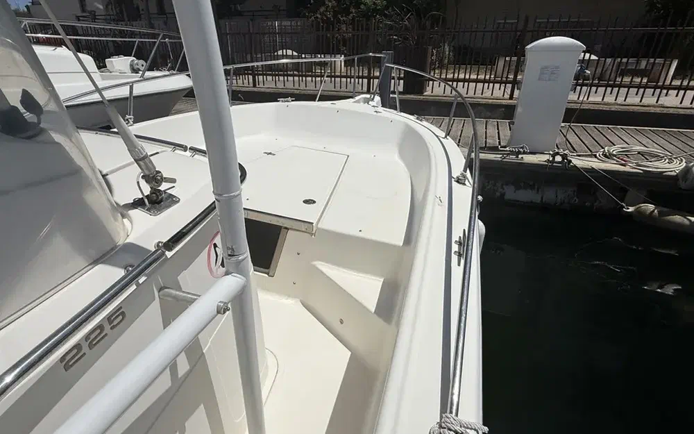 slider 8 Kelt White Shark 225