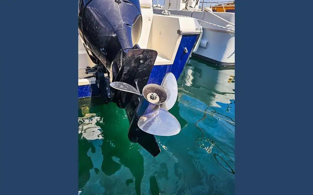 slider 15 White Shark 285