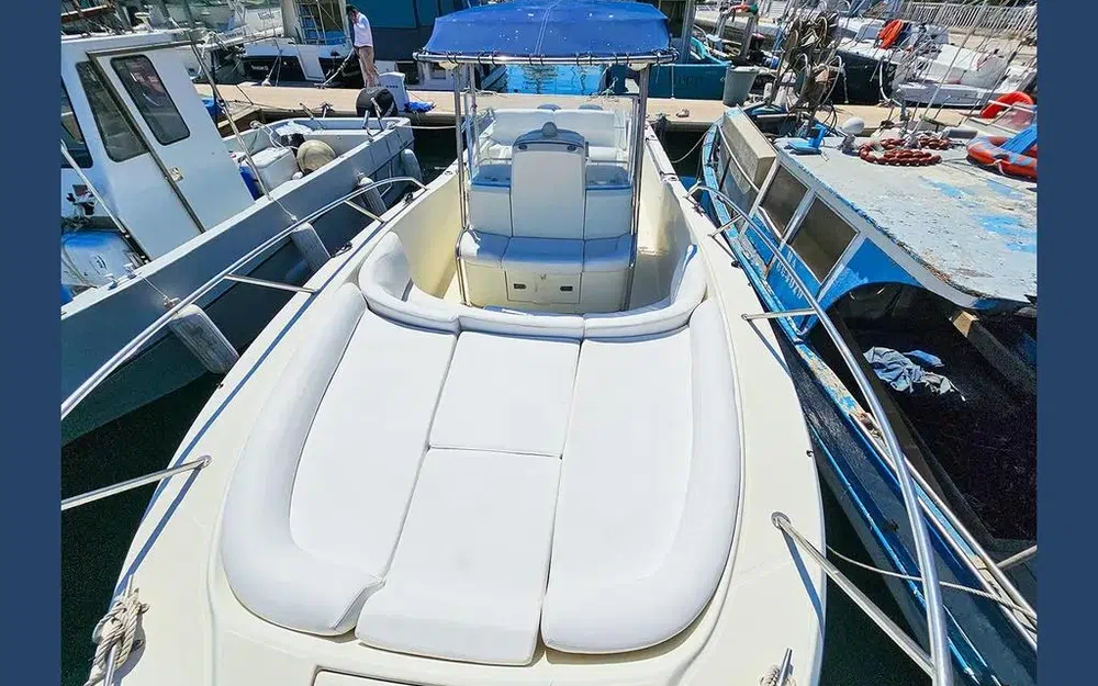slider 6 White Shark 285