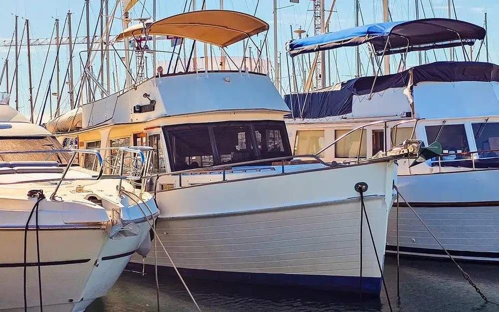 slider 2 Grand Banks 42 Europa