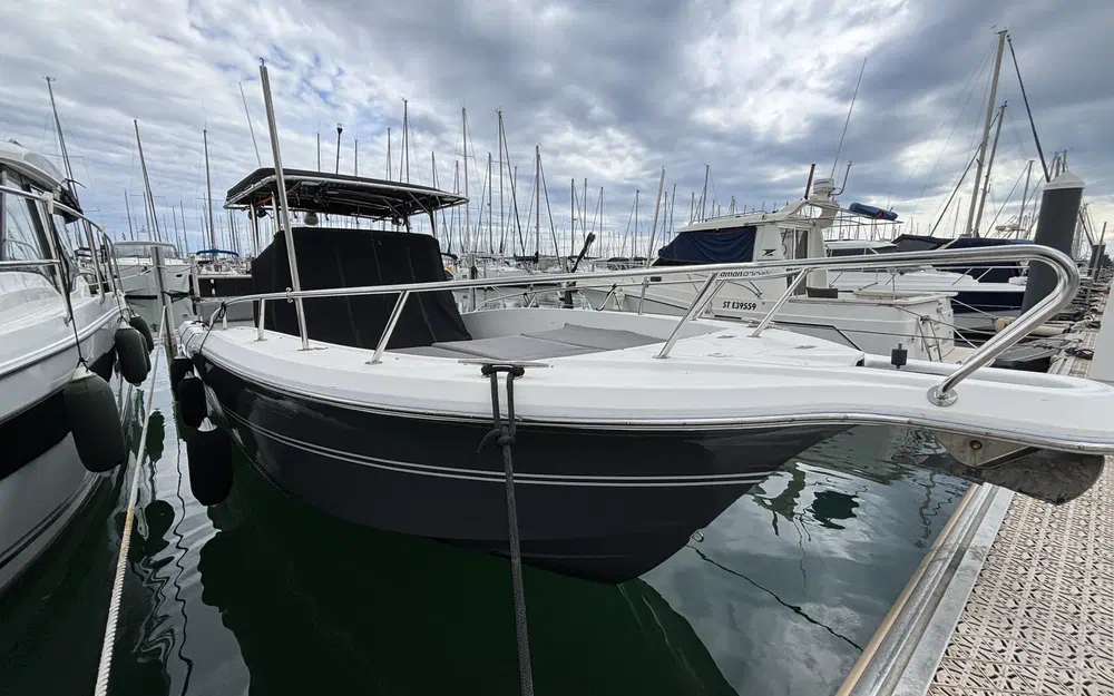 slider 12 White Shark 285