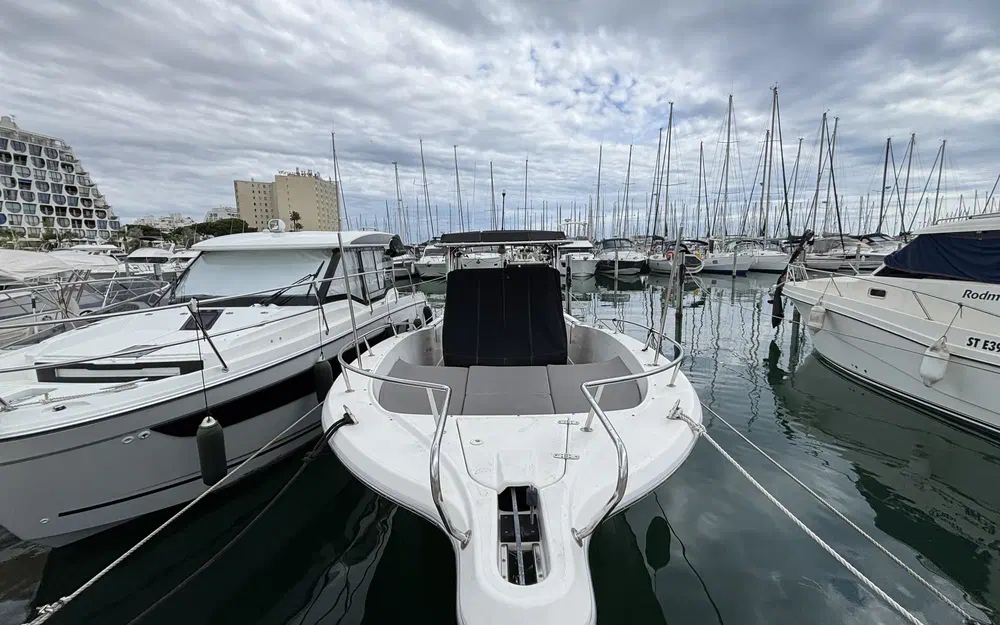 slider 13 White Shark 285