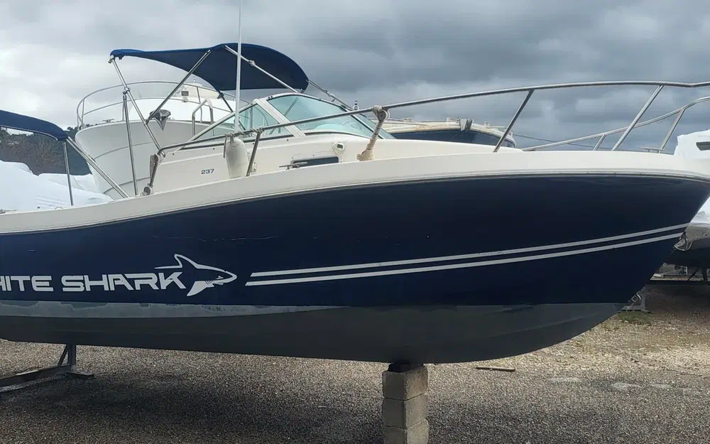 slider 1 White Shark 237