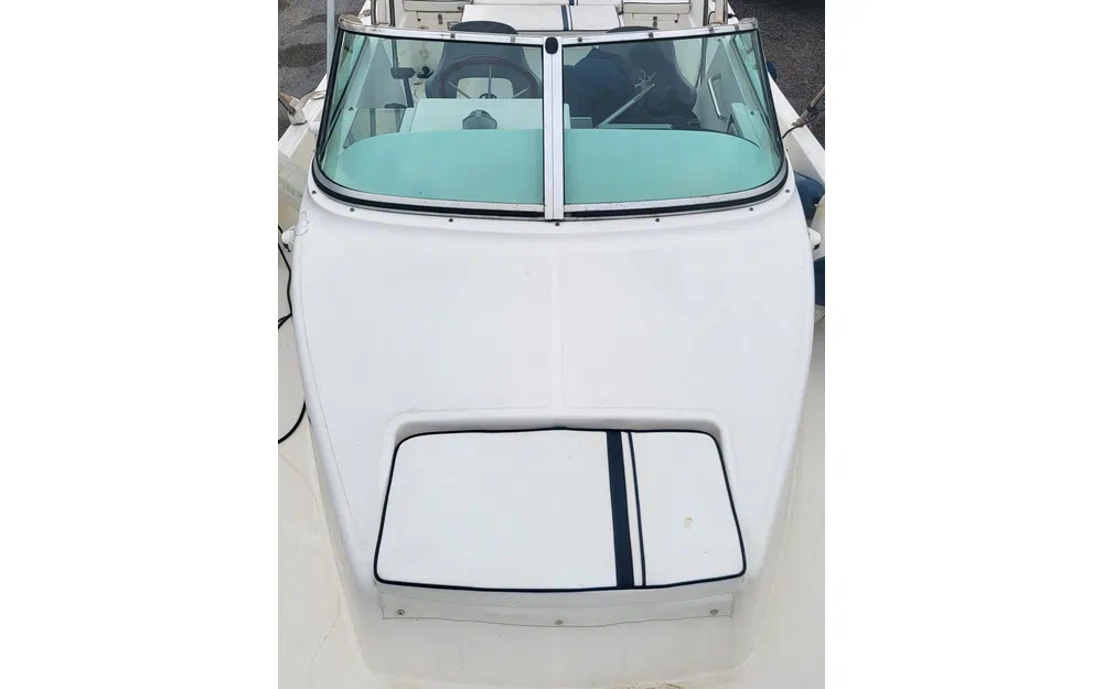 slider 5 White Shark 237