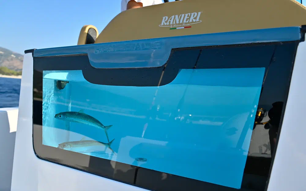 slider 3 Ranieri Renegade