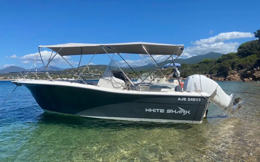slider 0 White Shark 226