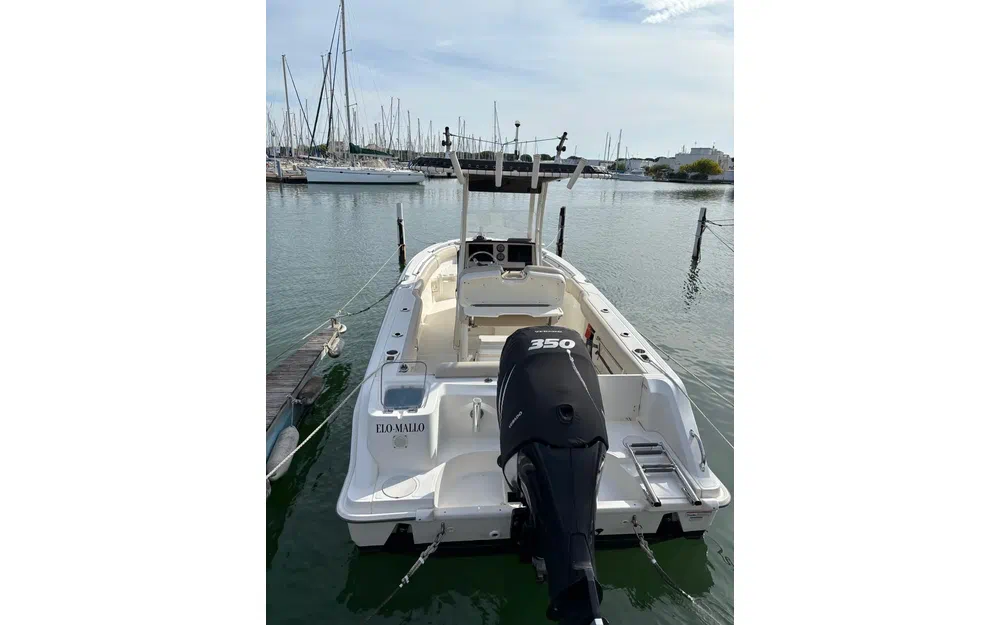 slider 4 Boston Whaler 230 Outrage