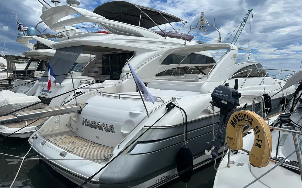 slider 1 Princess V50