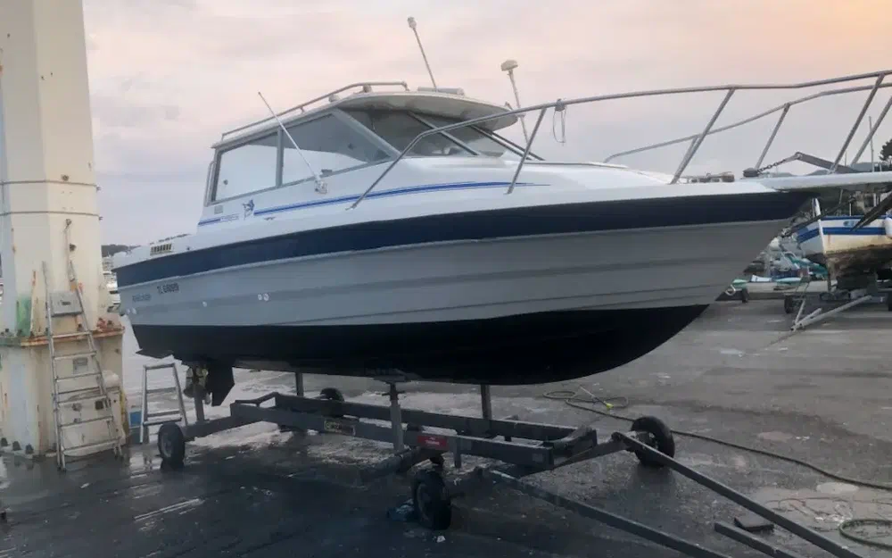 slider 20 Bayliner Trophy 2159