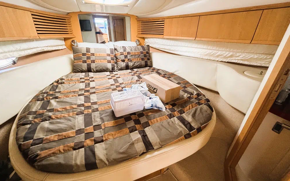 slider 34 Sessa Marine C42