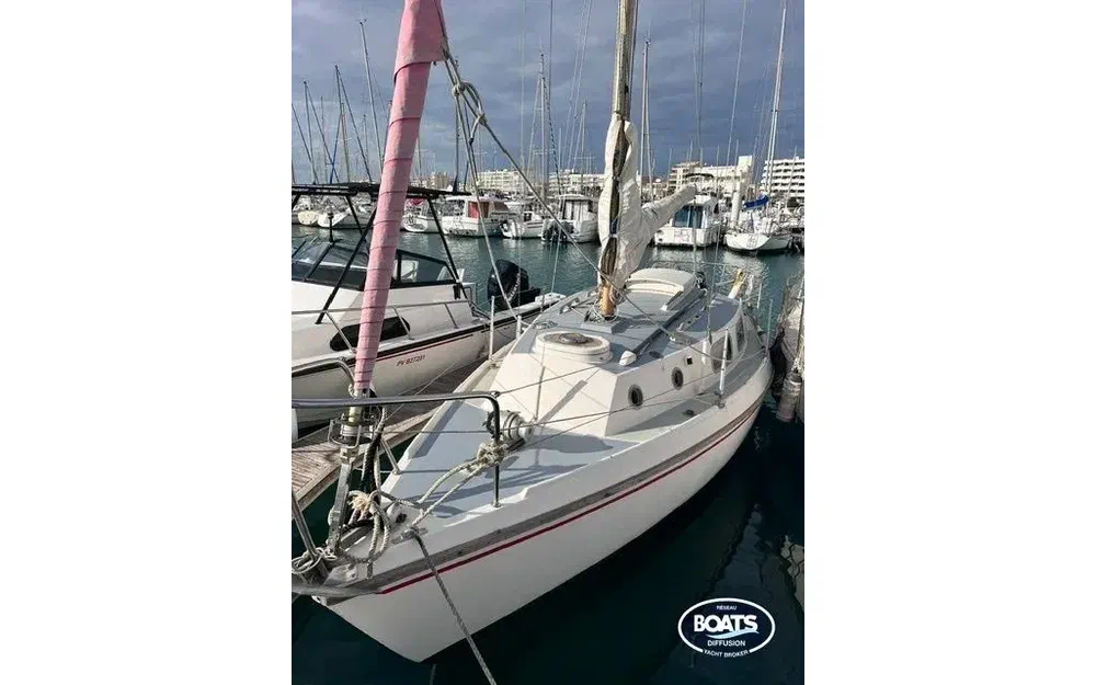 slider 0 Westerly Tiger