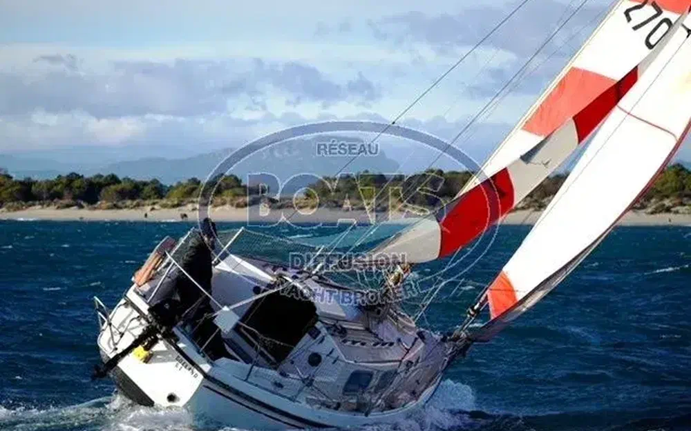 slider 9 Westerly Tiger