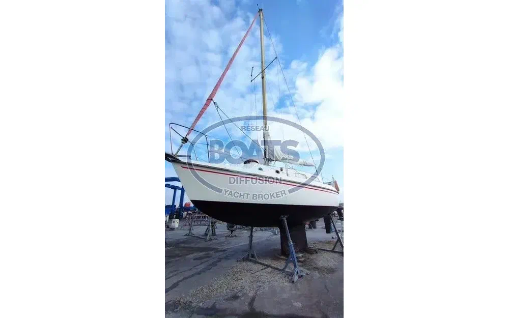 slider 2 Westerly Tiger