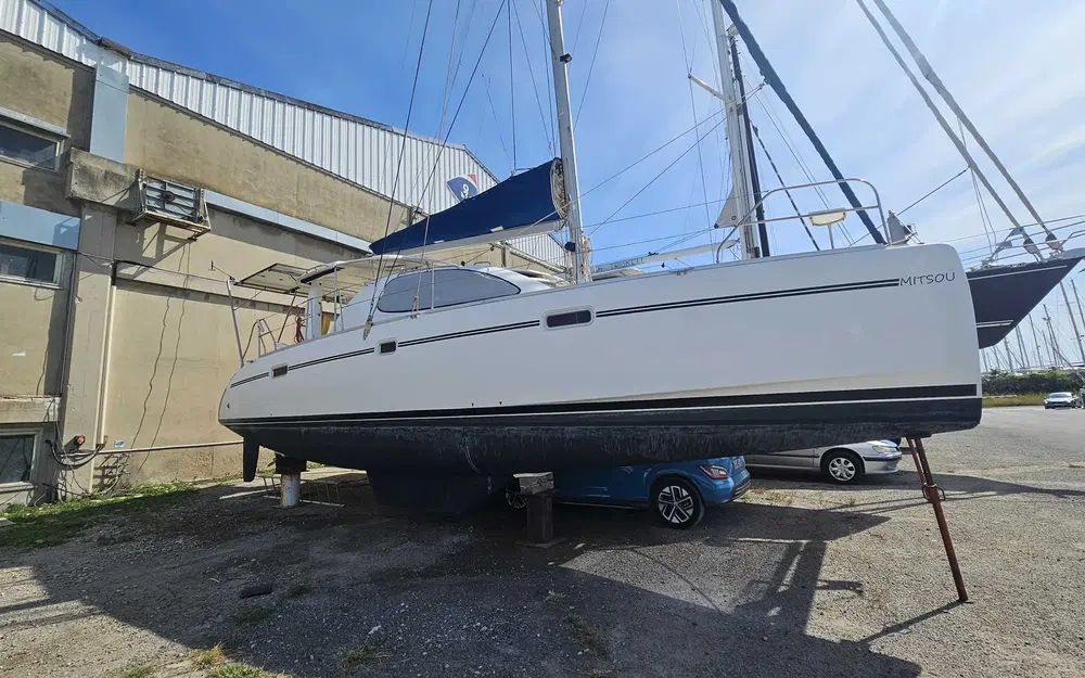 Robertson And CaineLeopard 40