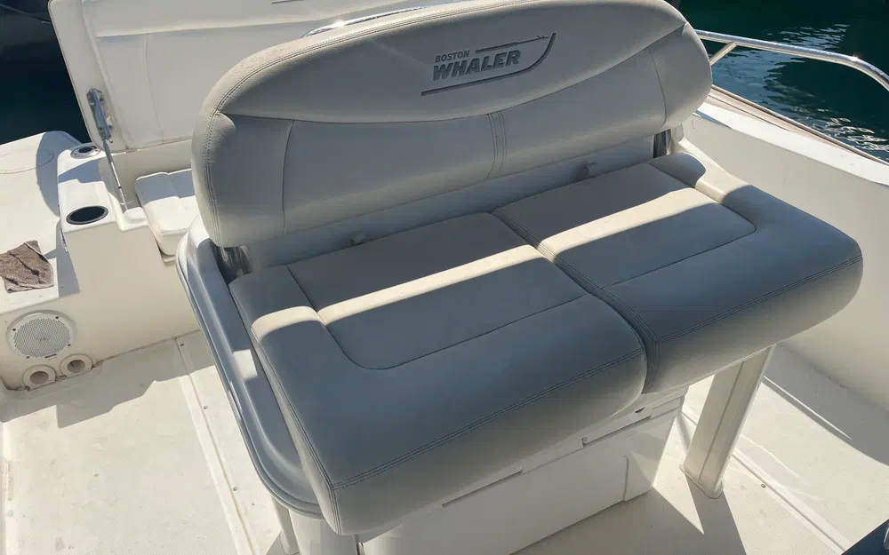 slider 3 Boston Whaler 270 Dauntless