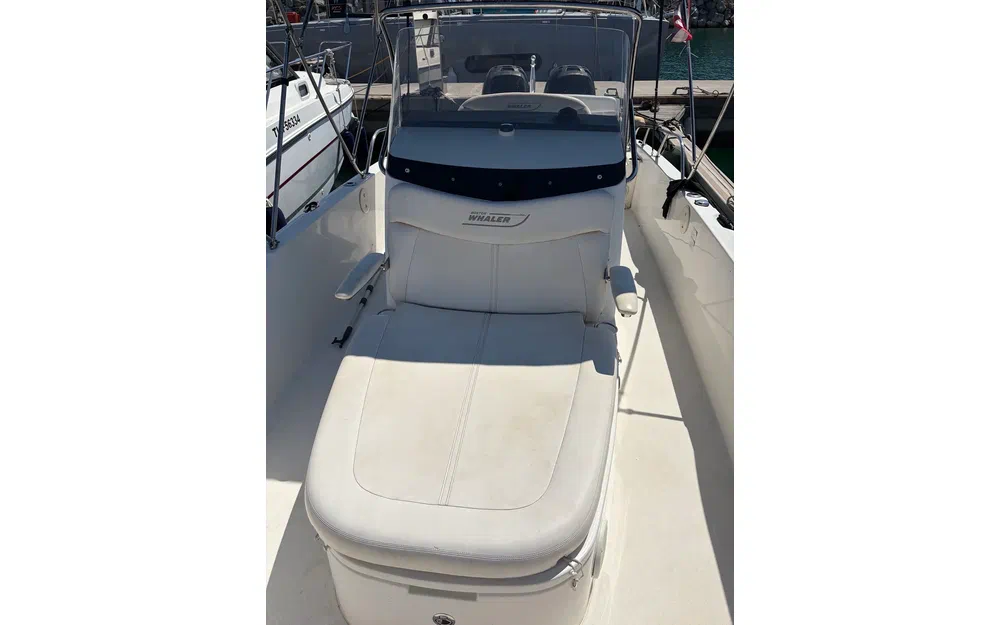 slider 7 Boston Whaler 270 Dauntless