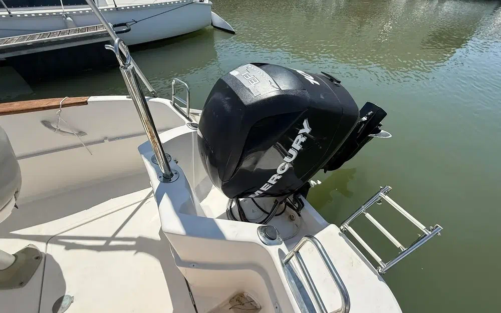 slider 7 Quicksilver 555 Commander