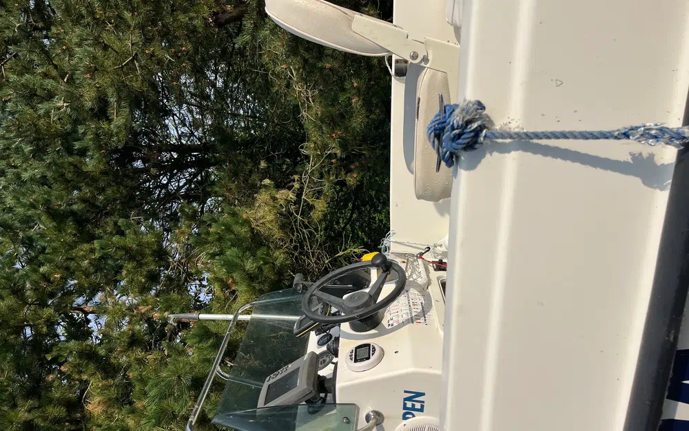 slider 3 Kelt Sunbird 160
