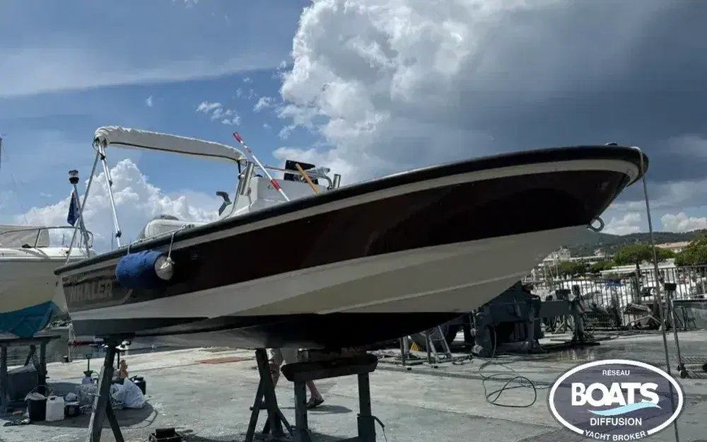 slider 0 Boston Whaler 15 Dauntless