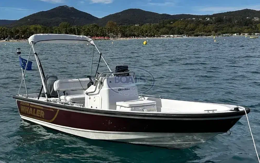 slider 4 Boston Whaler 15 Dauntless