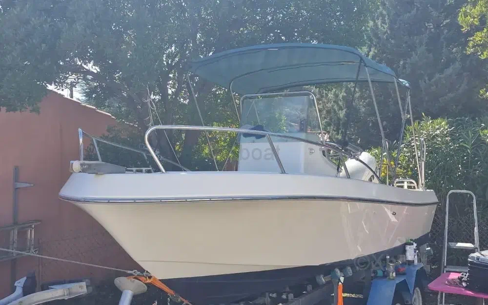 slider 0 Kelt White Shark 175