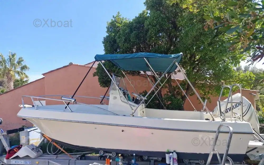 slider 1 Kelt White Shark 175