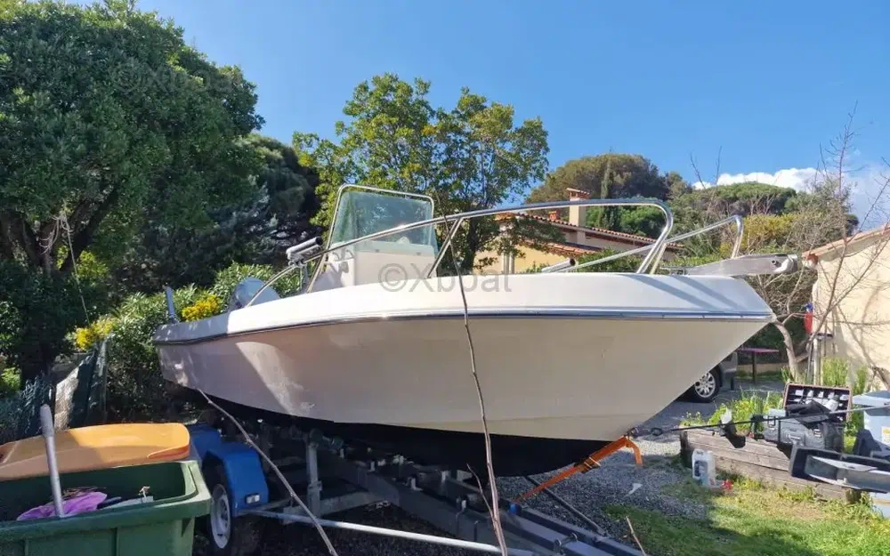 slider 8 Kelt White Shark 175
