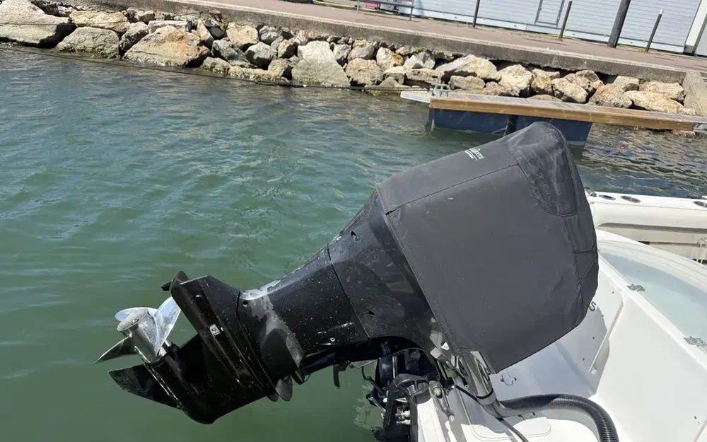slider 15 Sea Fox 216 CC