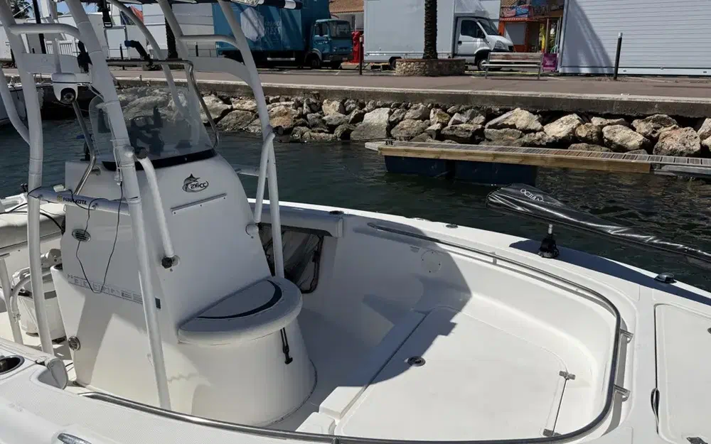 slider 4 Sea Fox 216 CC