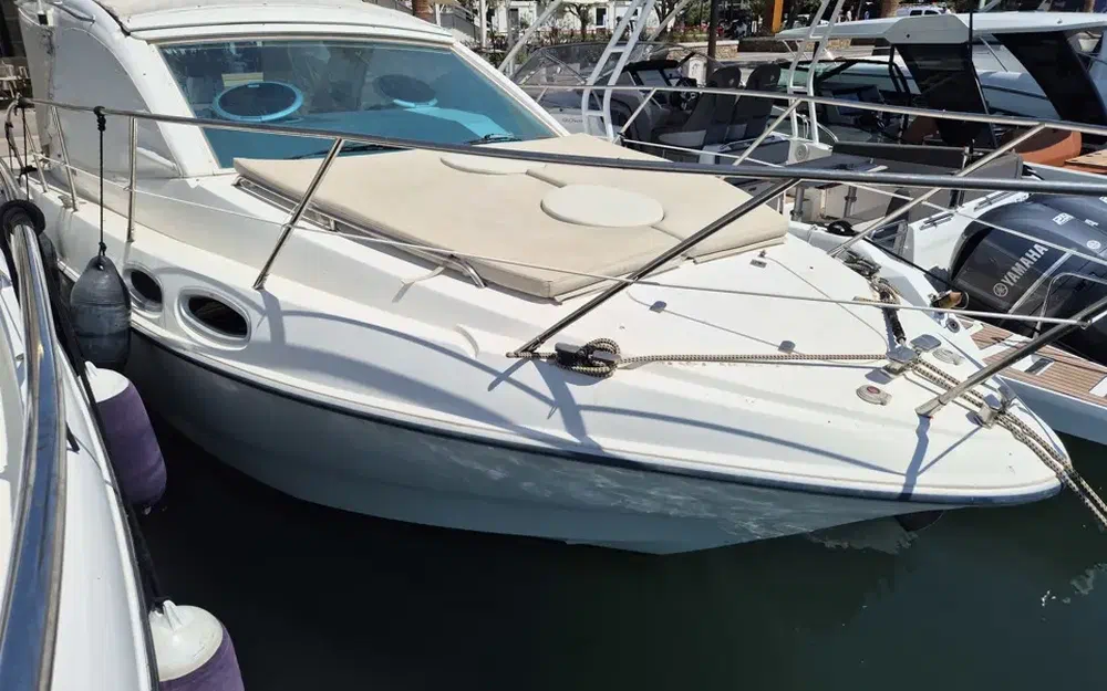 slider 31 Sealine SC 29