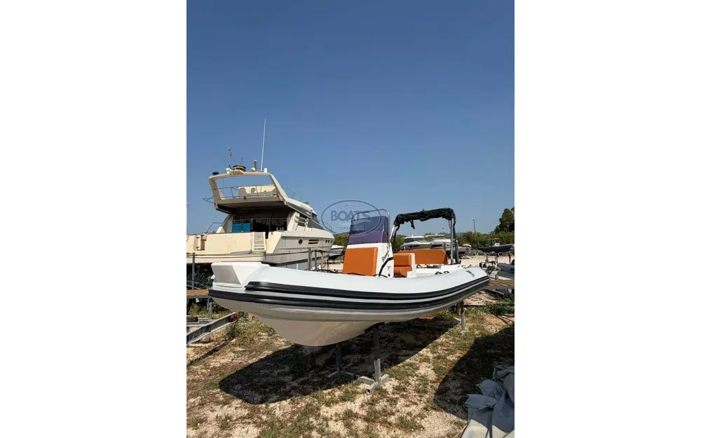 slider 2 Tiger Marine Pro Line 550