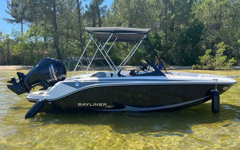 BaylinerM17