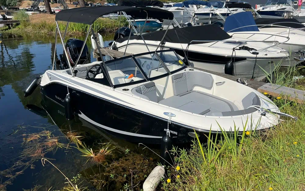 slider 1 Bayliner M17