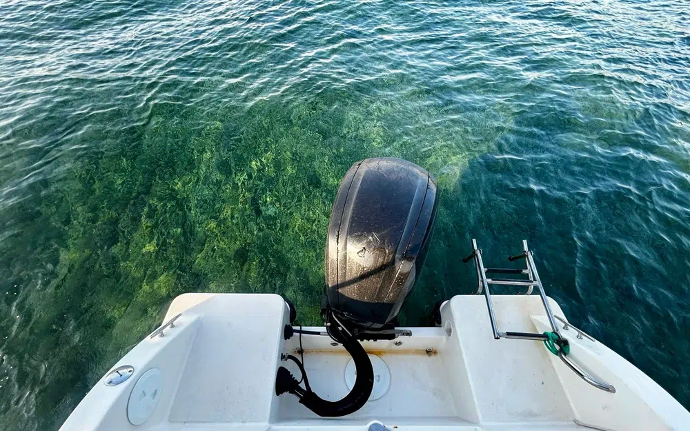 slider 18 Quicksilver Activ 505 Open