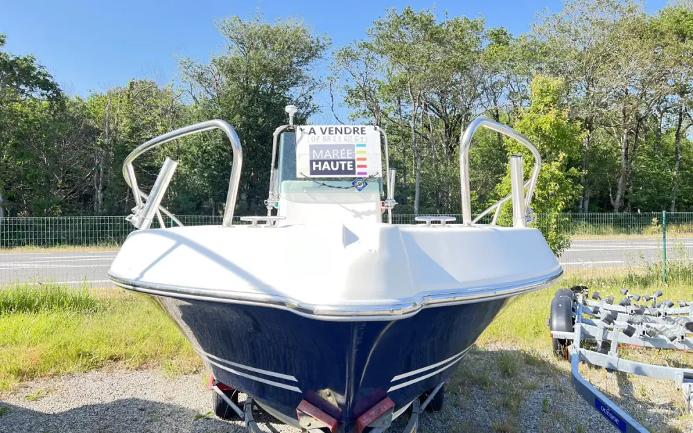 slider 1 White Shark  175