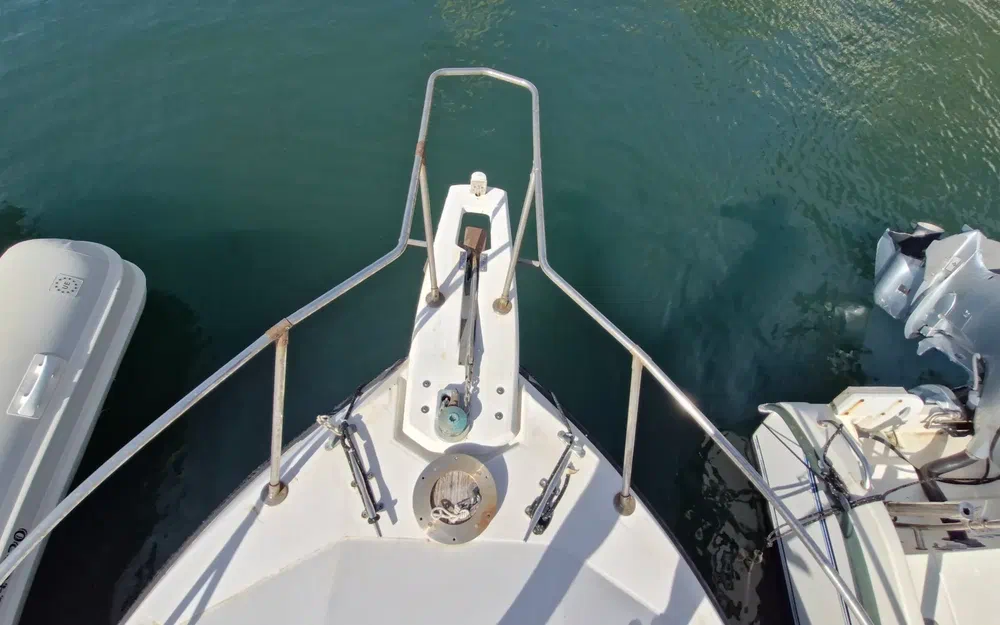 slider 13 Bayliner Trophy 2159