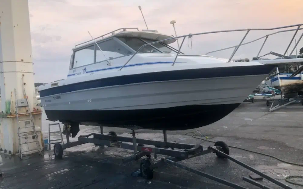 slider 20 Bayliner Trophy 2159