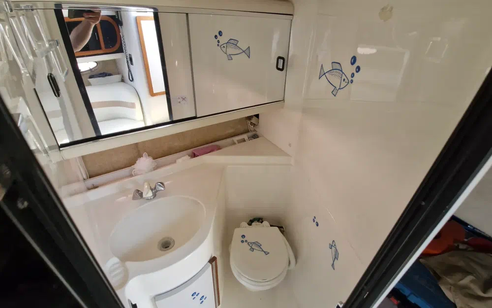 slider 15 Cruisers Yachts 3070 Rogue