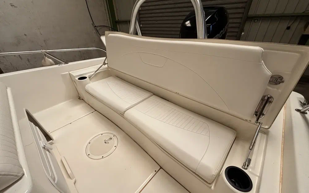 slider 12 Boston Whaler 230 Dauntless